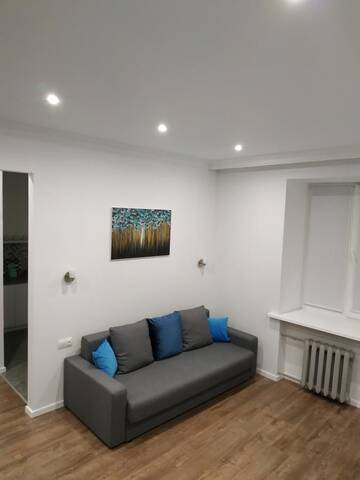 Фото номера Апартаменты с 1 спальней Апартаменты Central apartments г. Борисов 20